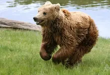 12ca821b9304eb5a441b4c729c57ed04_k.webp