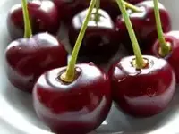 esh9089.webp