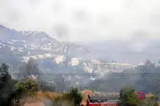 d2316042472005337.webp d2316042472005337.webp