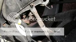 CAM_0211.webp
