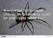 51fbfba033b5871959000013.webp