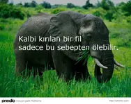 51fbfba033b5871959000012.webp