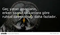 51fbfba033b5871959000014.webp