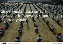 51fbfba033b5871959000015.webp
