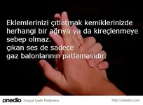 51fbfba033b5871959000018.webp