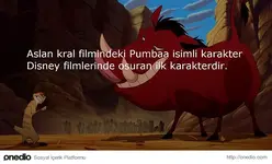 51fbfba033b587195900001d.webp