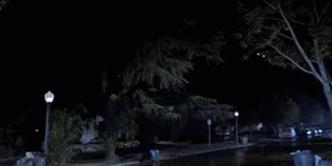 zq5XLAN.gif
