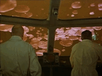 y3CSK2T.gif