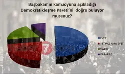 446jpg_h176.webp