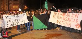 vistlerinden_kurban_protestosu13816152610_h1084539.webp