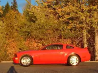 11208d1127616179-wheel-well-cleaner-autumn-car-026.webp