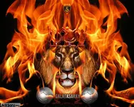 aslan-galatasaray.webp