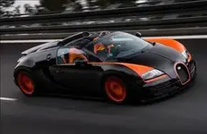 008_d.webp 008_d.webp