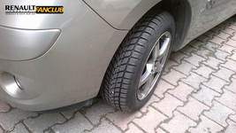 lassa4.webp