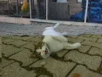 lRzbX5Y.webp lRzbX5Y.webp