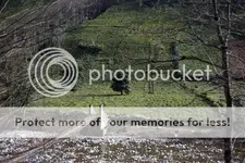 _MG_9804_1024x683_zps49ea9a49.webp _MG_9804_1024x683_zps49ea9a49.webp