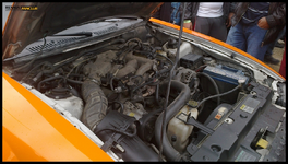 usta023.webp