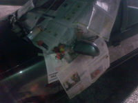 dsc0636.webp