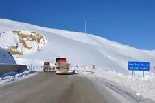 465409.webp 465409.webp