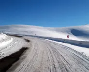 465419.webp 465419.webp