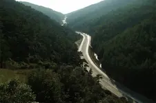 465422.webp 465422.webp