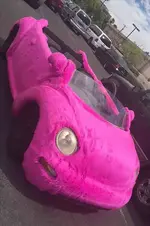 shittycarmodsfurrybug_d.webp