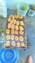 m151122_52fe0.webp m151122_52fe0.webp