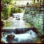 YWk7rz.webp