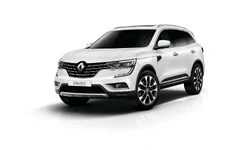 koleos-petozel.webp