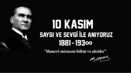 119517.webp