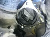 OJ3jDn.webp OJ3jDn.webp