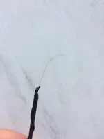 aYDXjz.webp