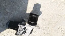 3zmo2j.webp