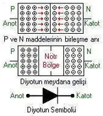 diyot1.webp diyot1.webp