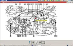 P1Dl2d.webp