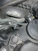 zy2b44.webp