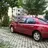 treedyline